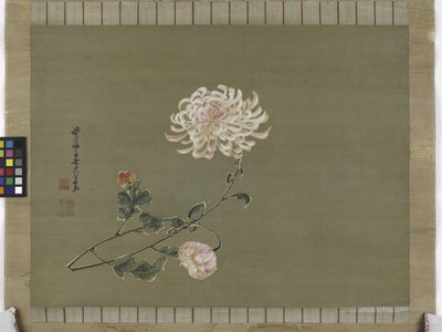 Chrysanthemum, Edo Period, 1791 by Ito Jakuchu